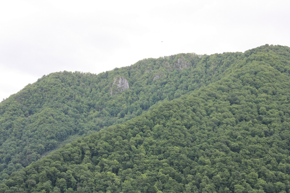 IMG_5273.JPG