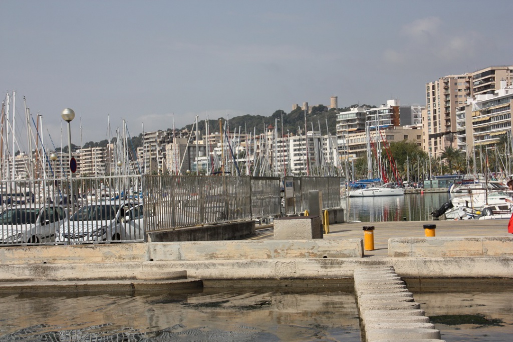 IMG_4517.JPG