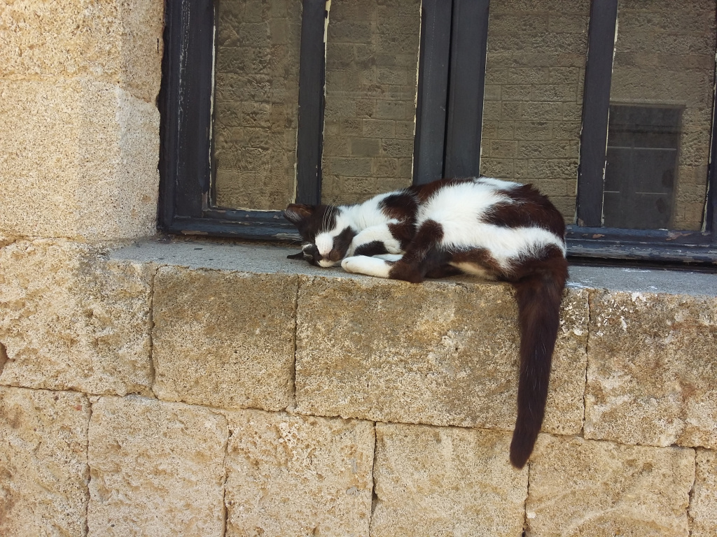 20170617_132604.jpg