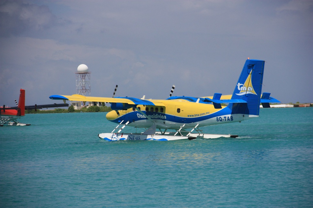 305.jpg