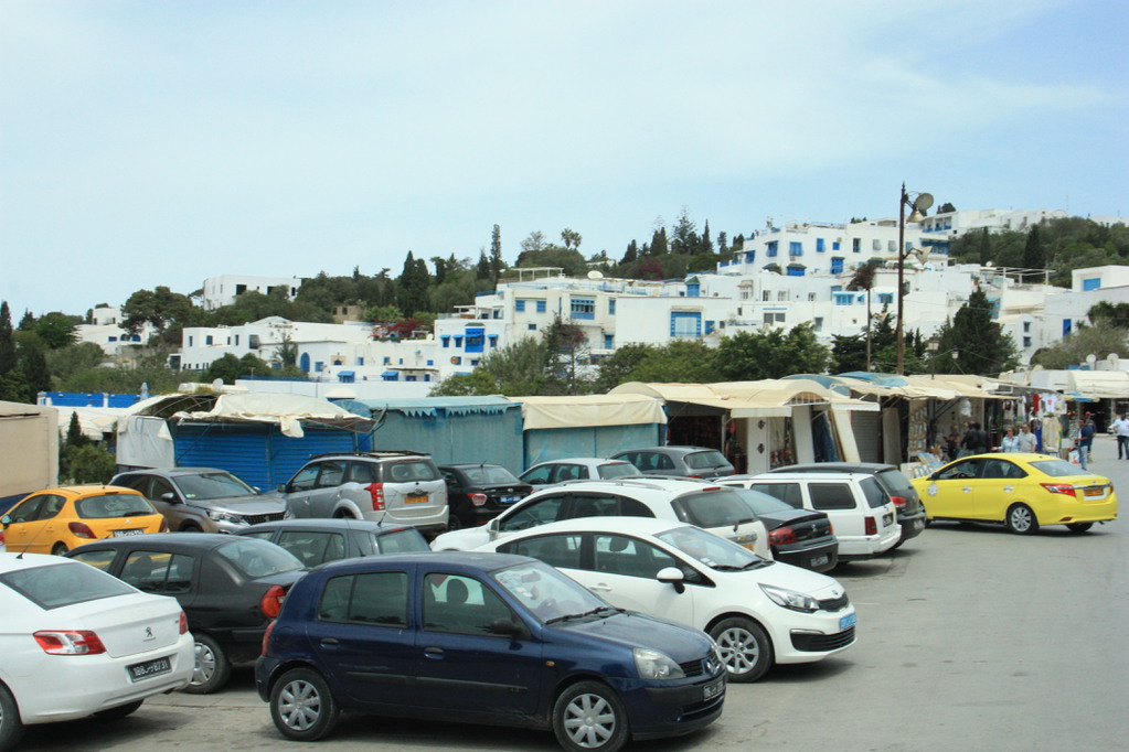 IMG_3614.JPG