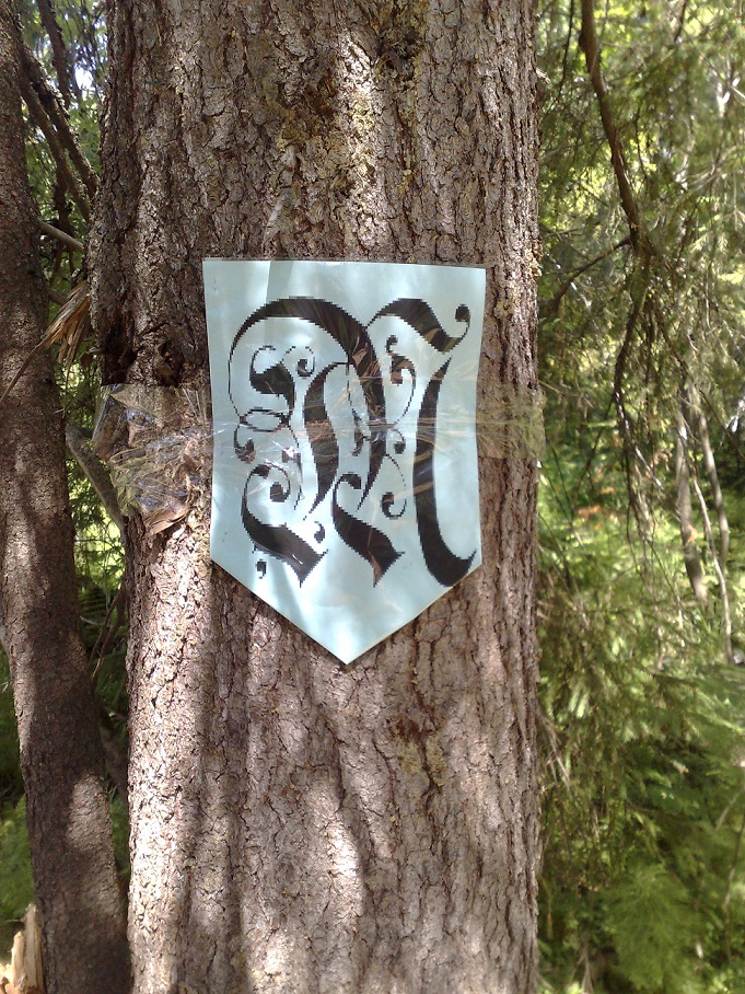 070720134695.jpg