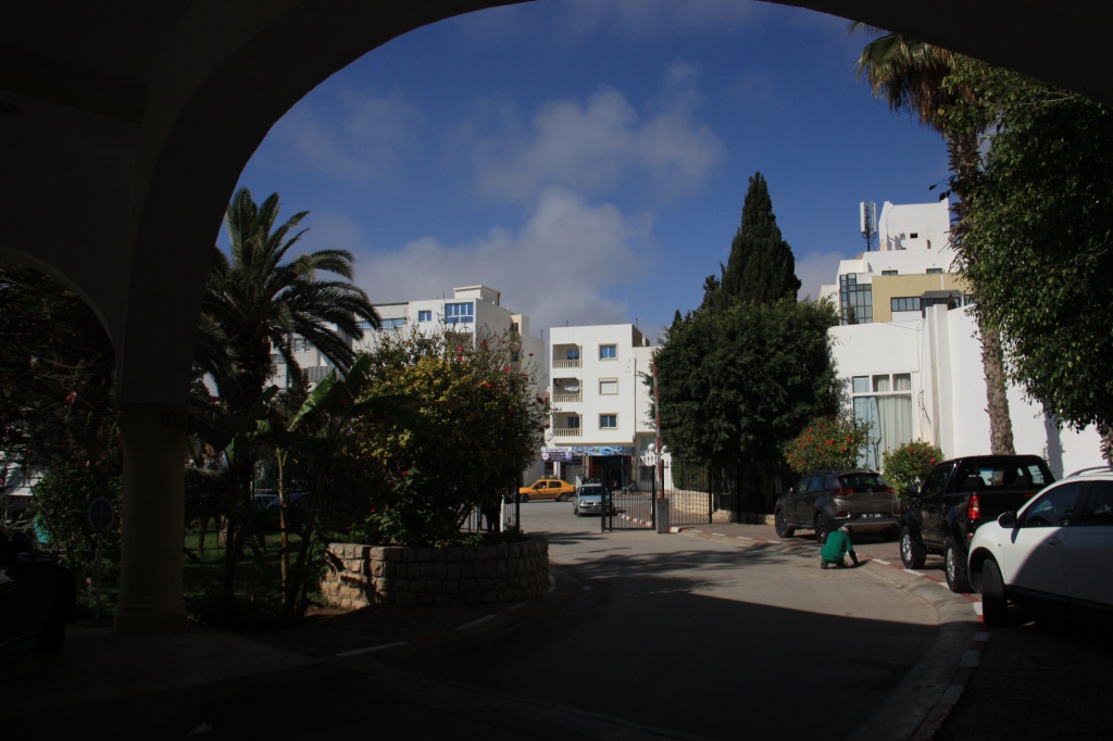 IMG_5877.JPG