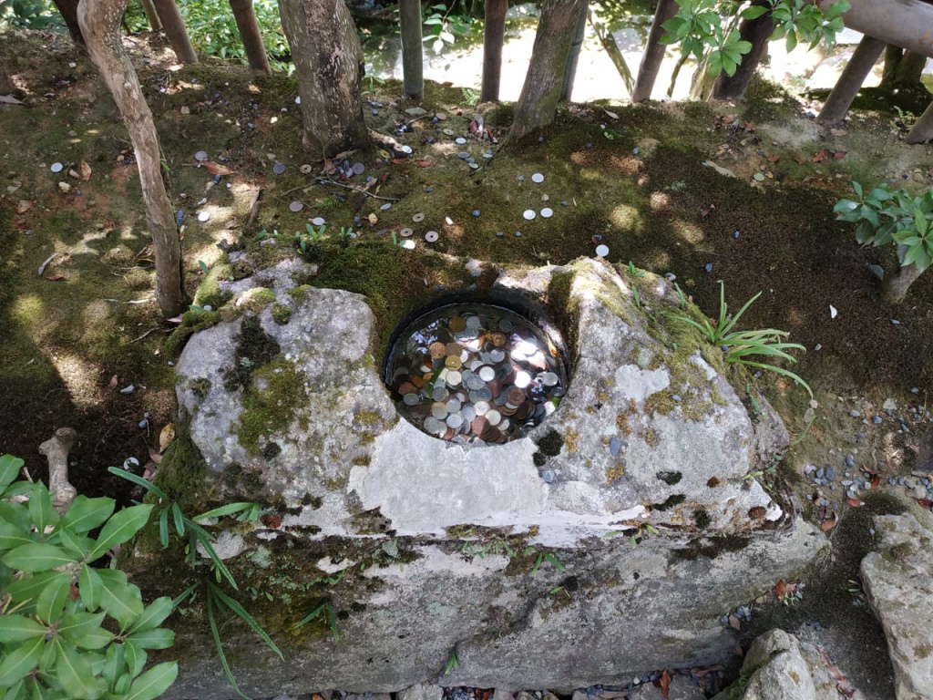 IMG-20180818-WA0055.jpg IMG-20180818-WA0055.jpg