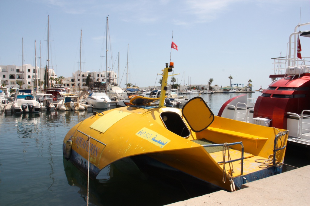 IMG_3155.JPG