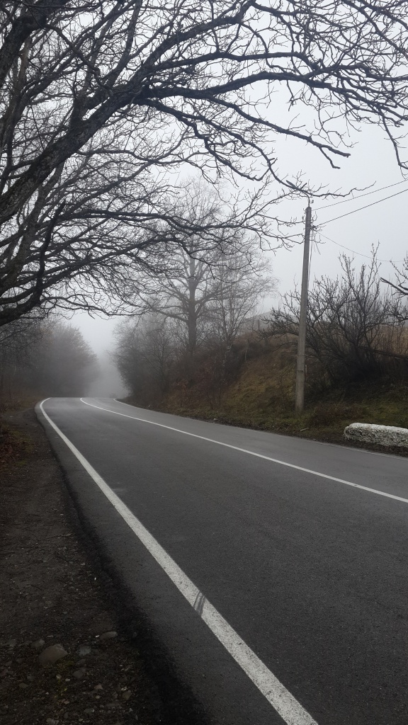 20181124_135912.jpg 20181124_135912.jpg