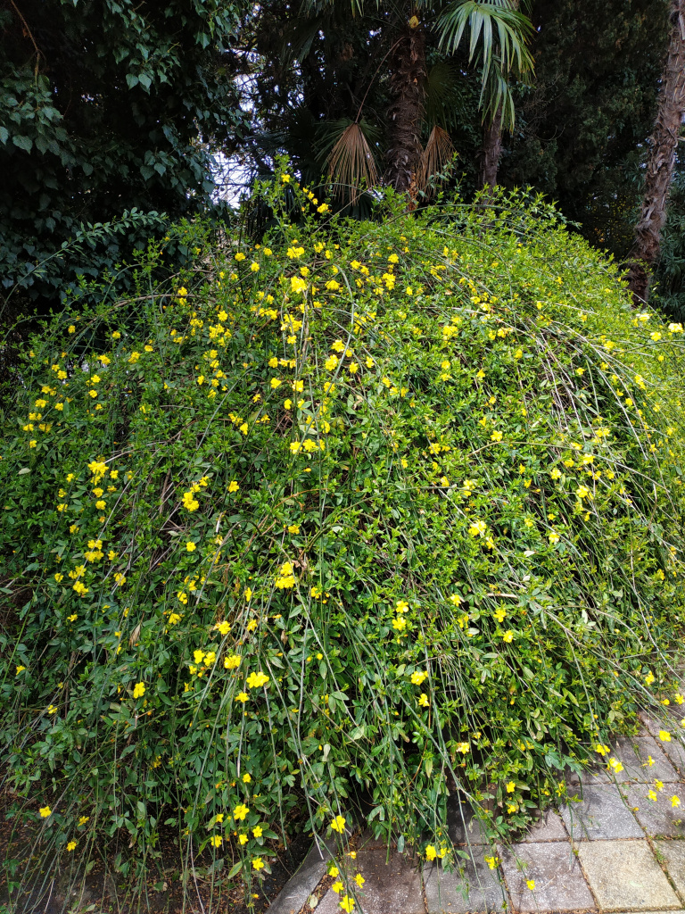 IMG_20220415_104949.jpg