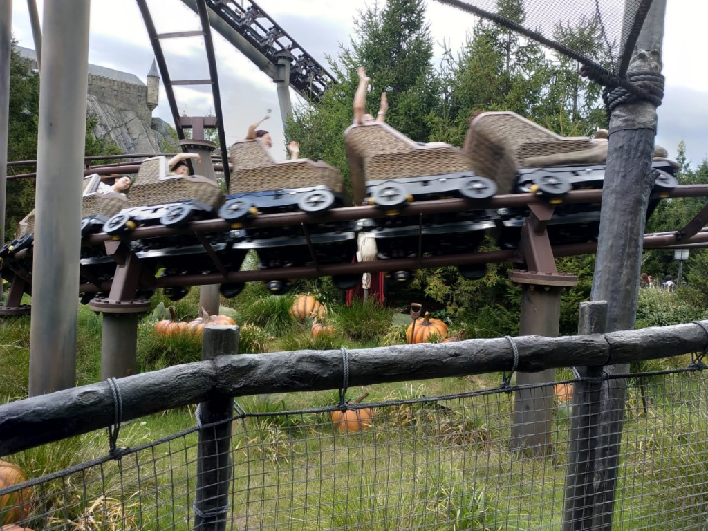 IMG-20180821-WA0058.jpg IMG-20180821-WA0058.jpg