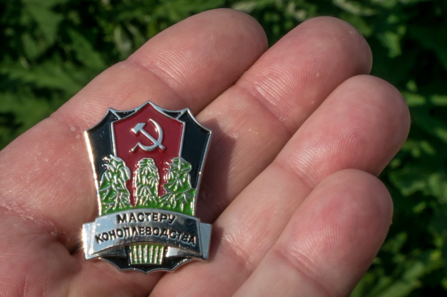 конопля.jpg