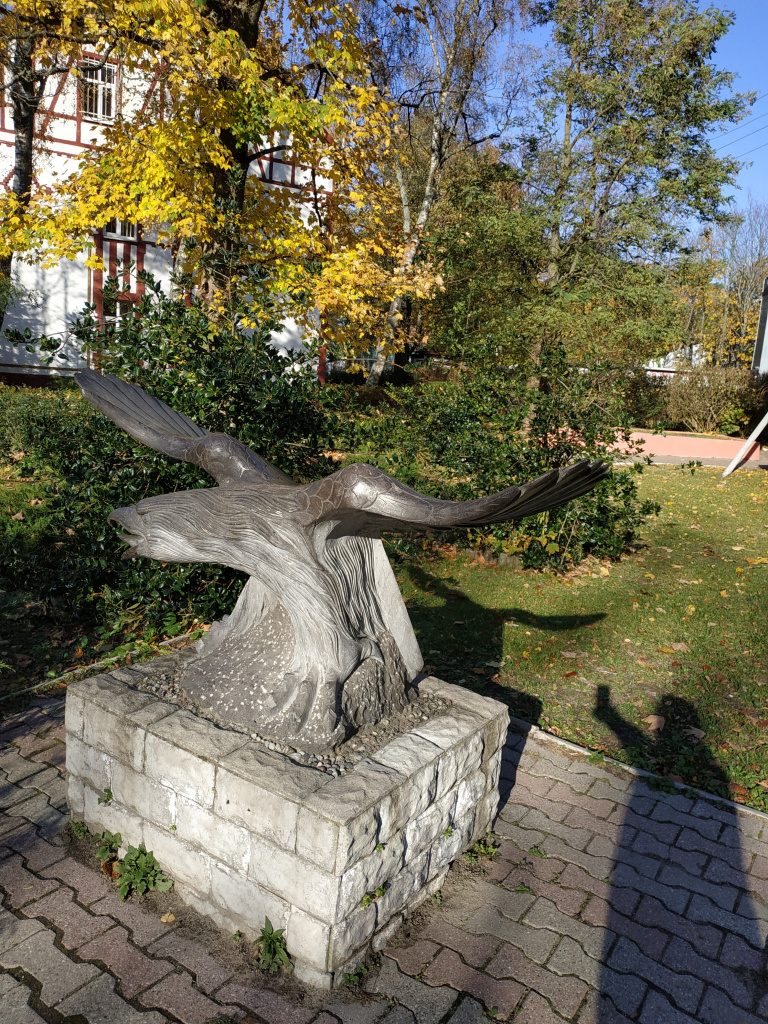IMG_20211029_130754.jpg
