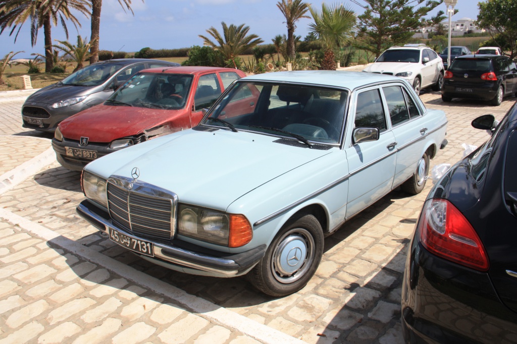 IMG_5995.JPG