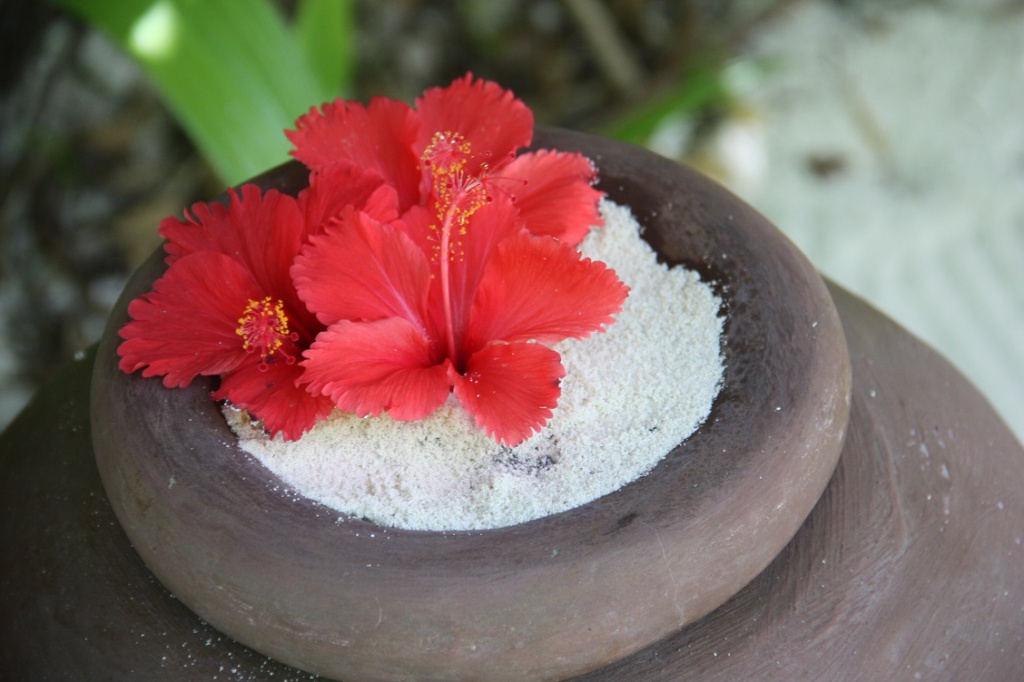 116.jpg