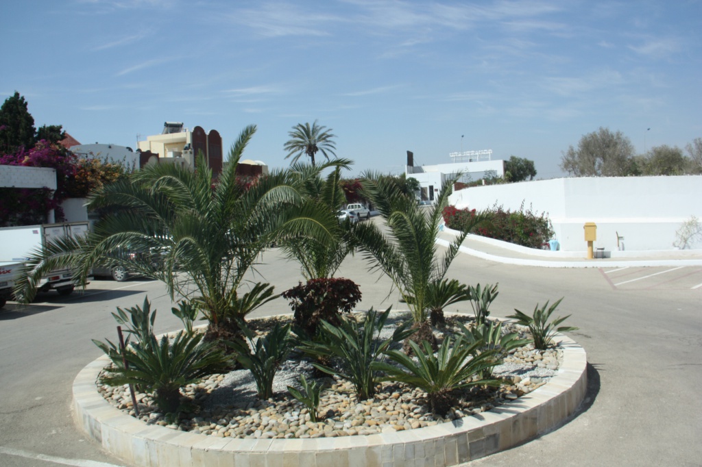 IMG_6455.JPG