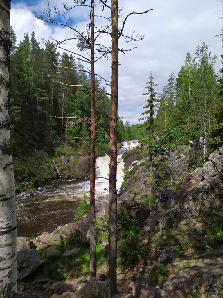 IMG_20220621_064Кивач.jpg