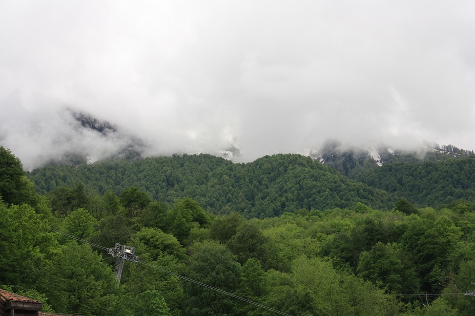 IMG_5403.JPG