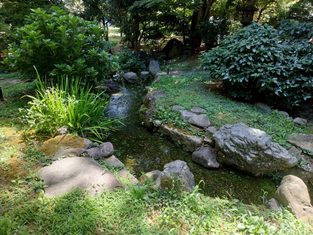IMG-20180818-WA0145.jpg IMG-20180818-WA0145.jpg
