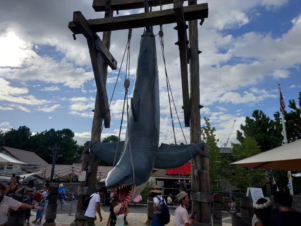 IMG-20180821-WA0064.jpg IMG-20180821-WA0064.jpg