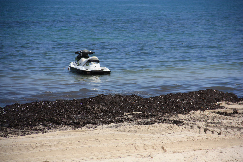 IMG_3275.JPG