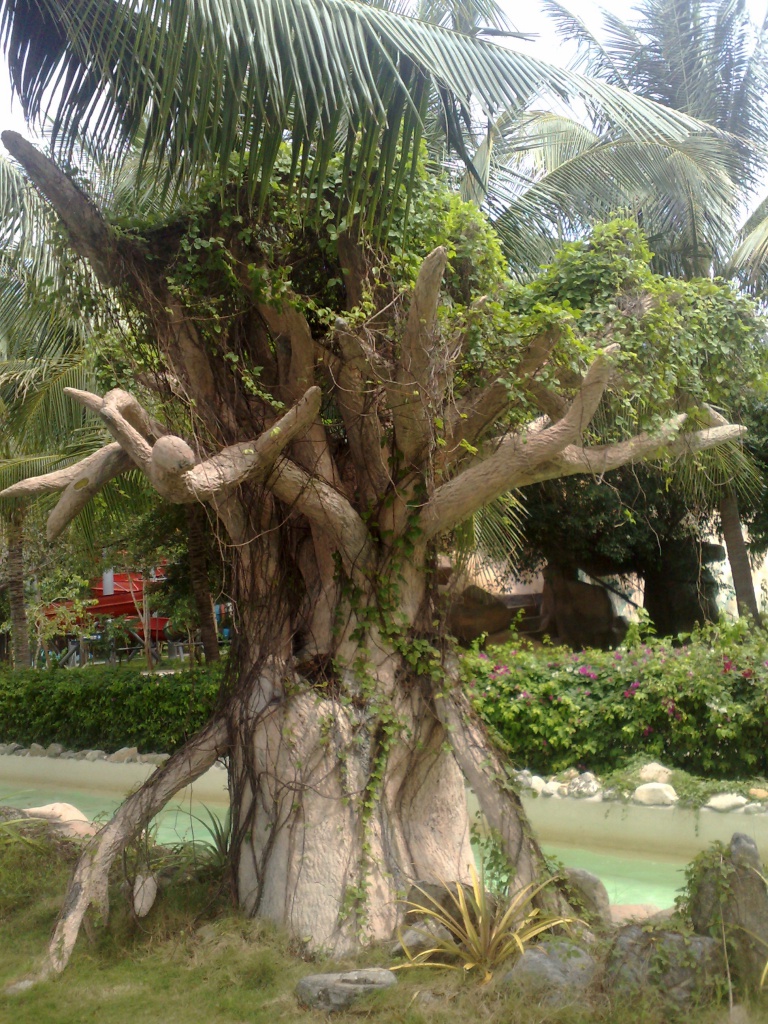 110220123489.jpg
