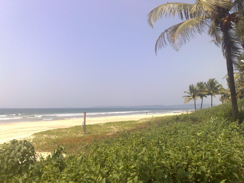 2009-10-24_12-25-58_241020091067.jpg
