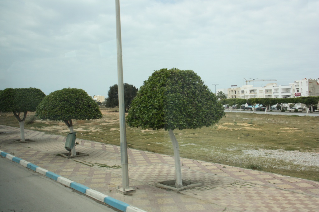 IMG_2765.JPG