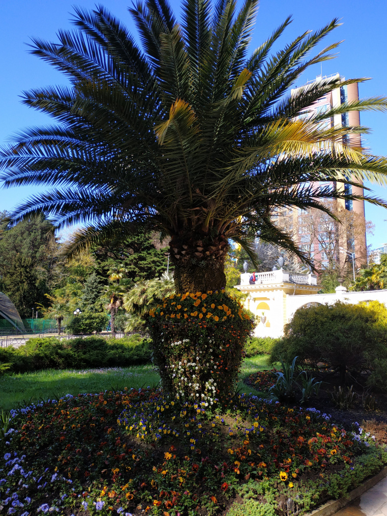 IMG_20220416_093159.jpg