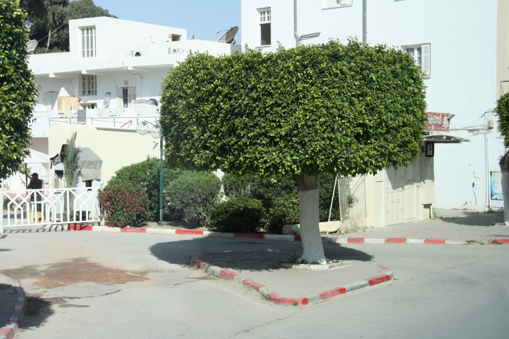 IMG_2894.JPG