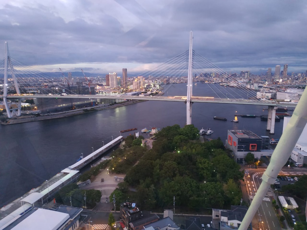 IMG-20180820-WA0012.jpg IMG-20180820-WA0012.jpg