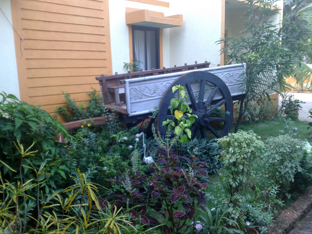 2009-10-23_11-02-04_23102009920.jpg