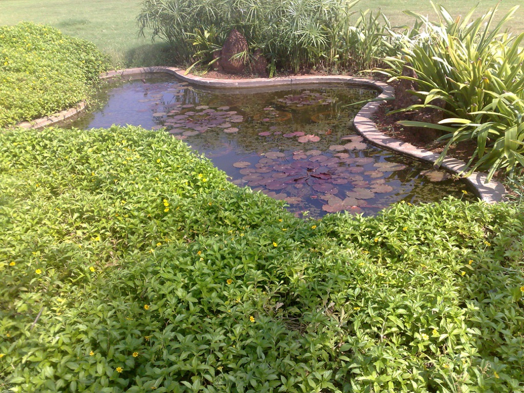 2009-10-24_14-19-42_241020091121.jpg