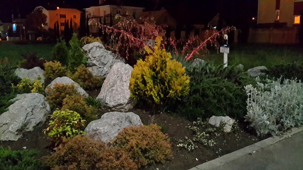 20170518_003752.jpg