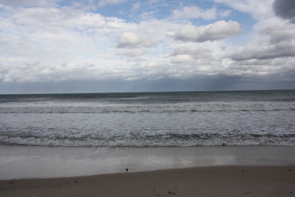 IMG_4799.JPG