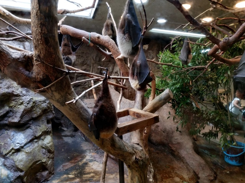 IMG-20180826-WA0100.jpg IMG-20180826-WA0100.jpg