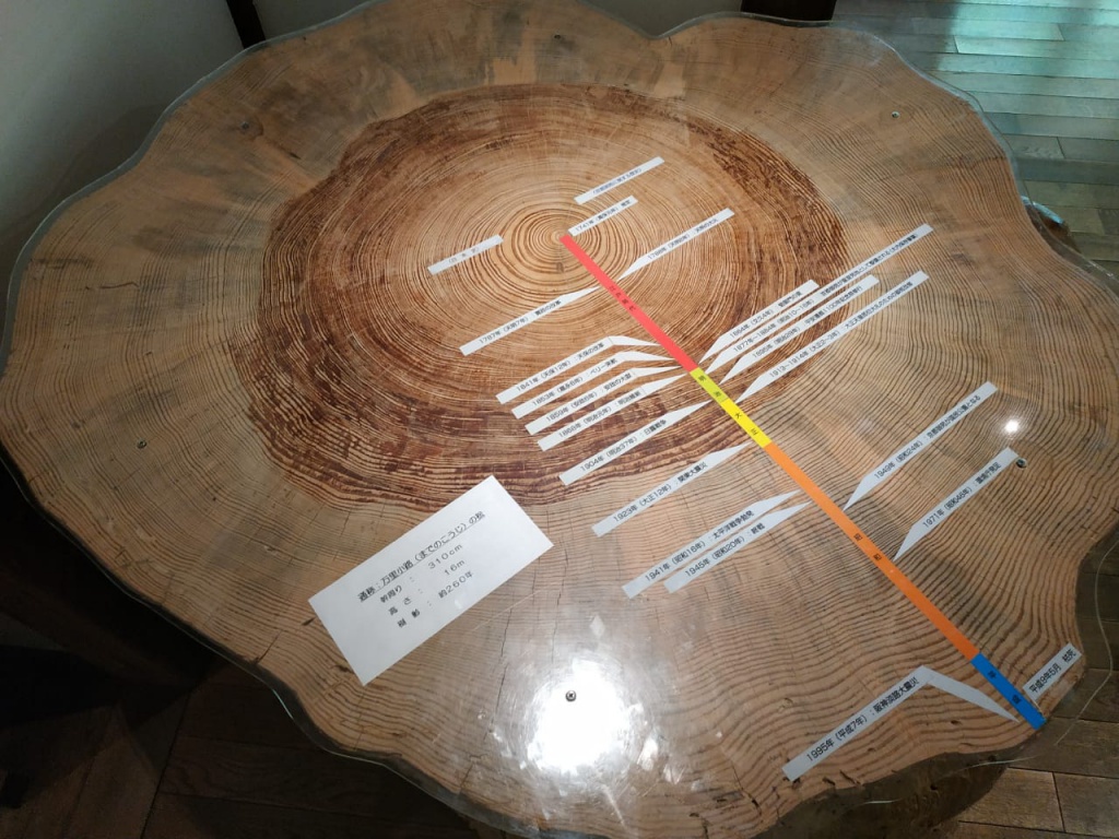 IMG-20180818-WA0126.jpg IMG-20180818-WA0126.jpg