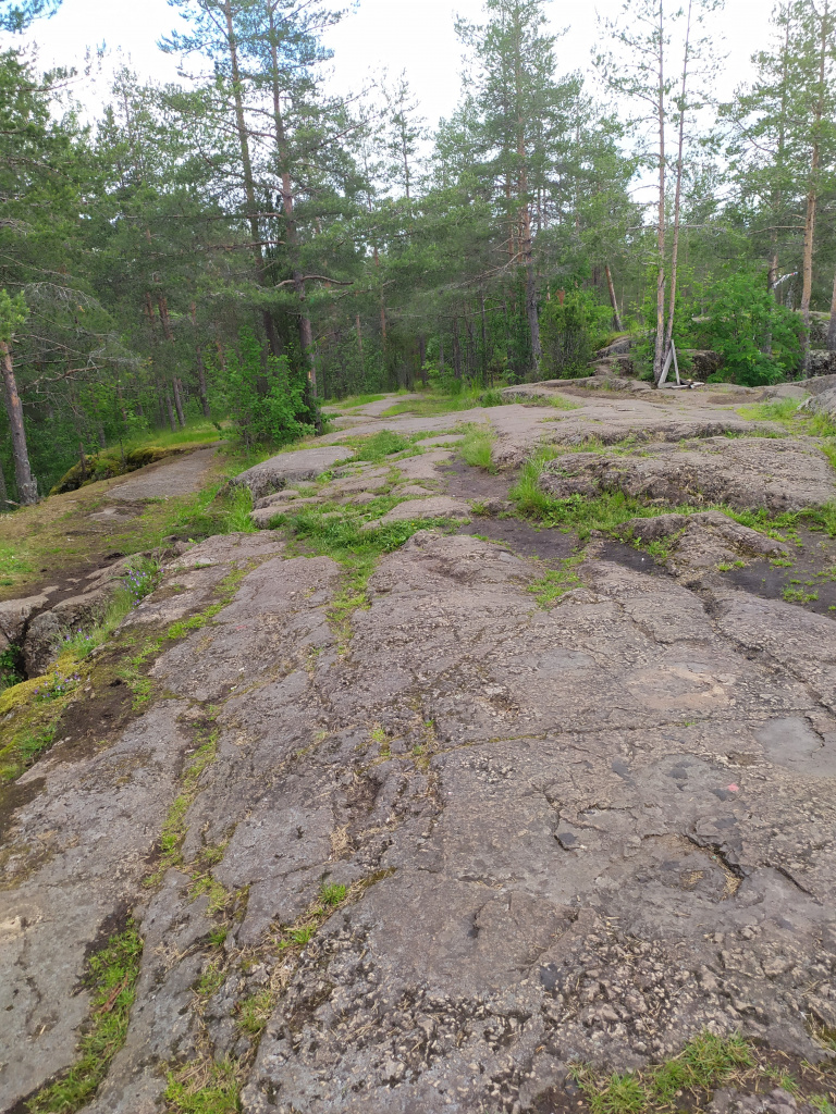 IMG_20220621_086Сампо.jpg