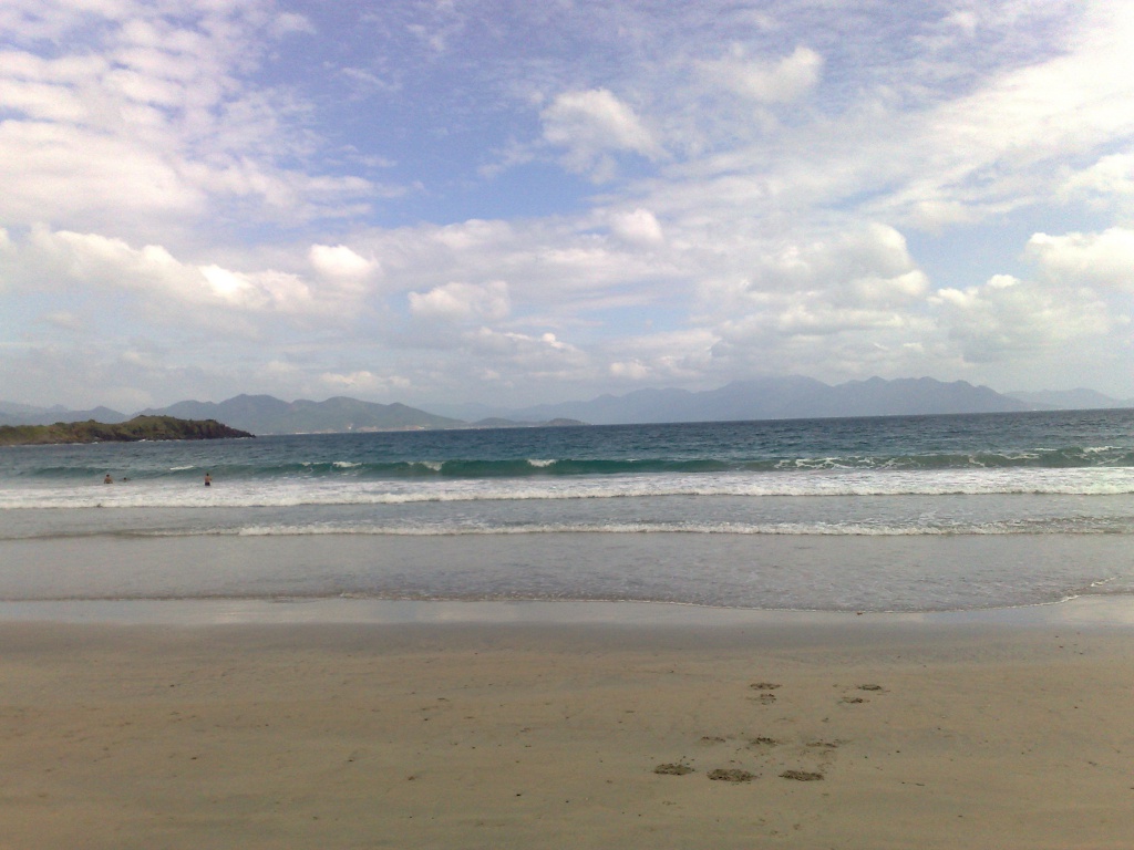 110220123469.jpg
