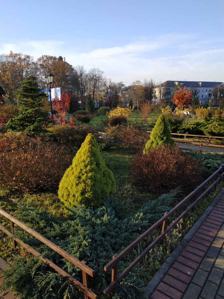 IMG_20211030_154223.jpg