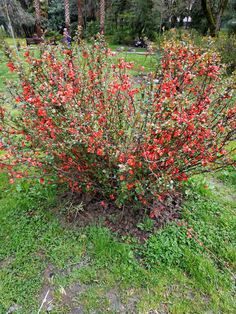 IMG_20220415_105536.jpg