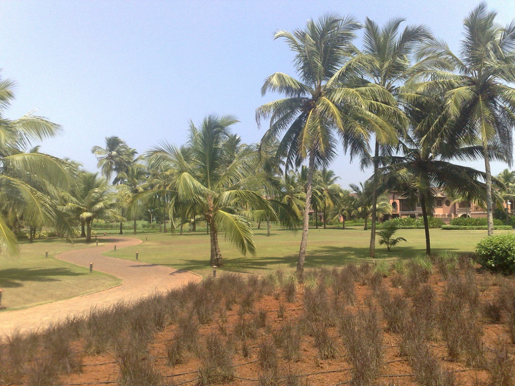 2009-10-24_12-23-14_241020091063.jpg