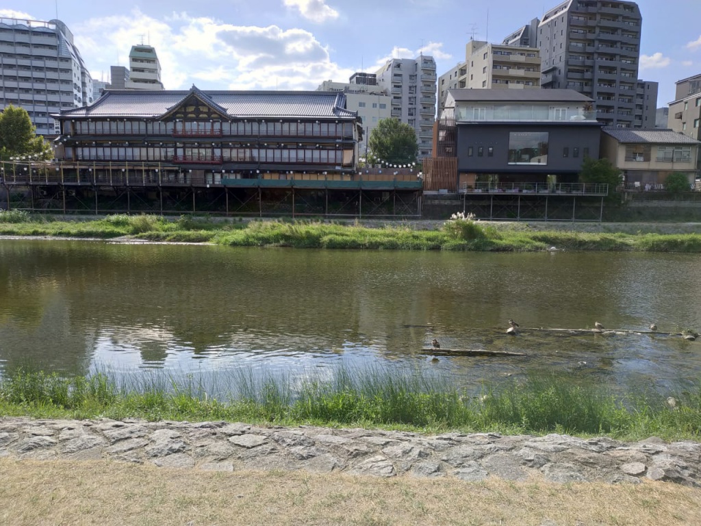 IMG-20180819-WA0014.jpg IMG-20180819-WA0014.jpg
