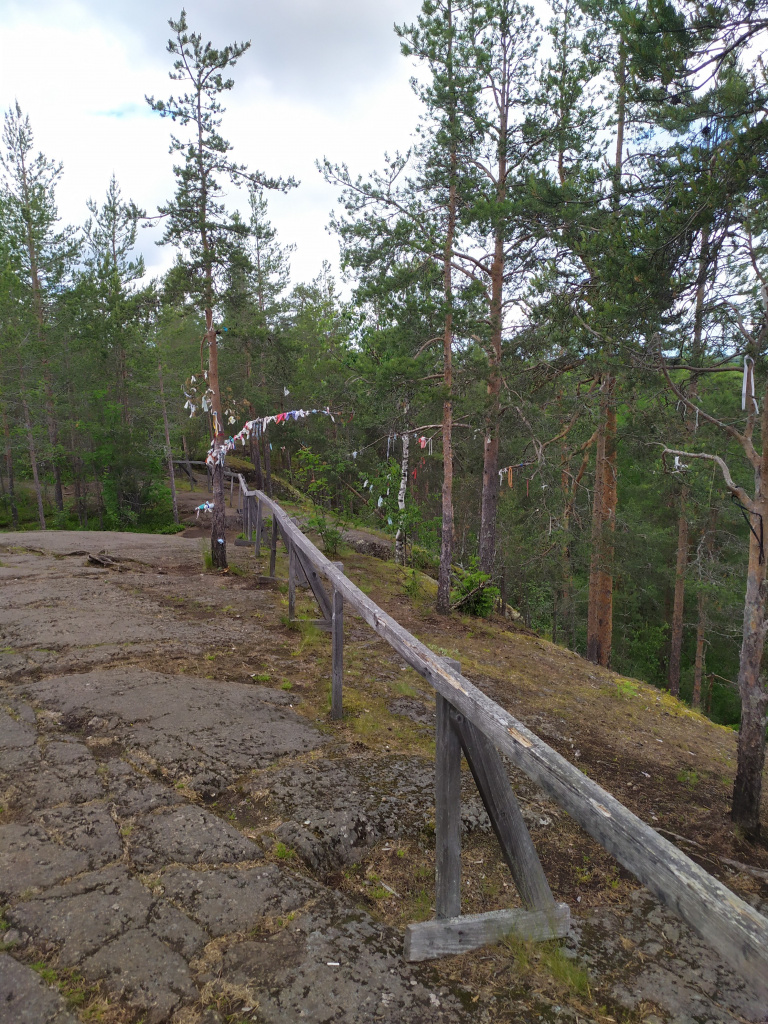 IMG_20220621_087Сампо.jpg