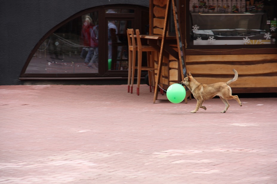 IMG_5431.JPG