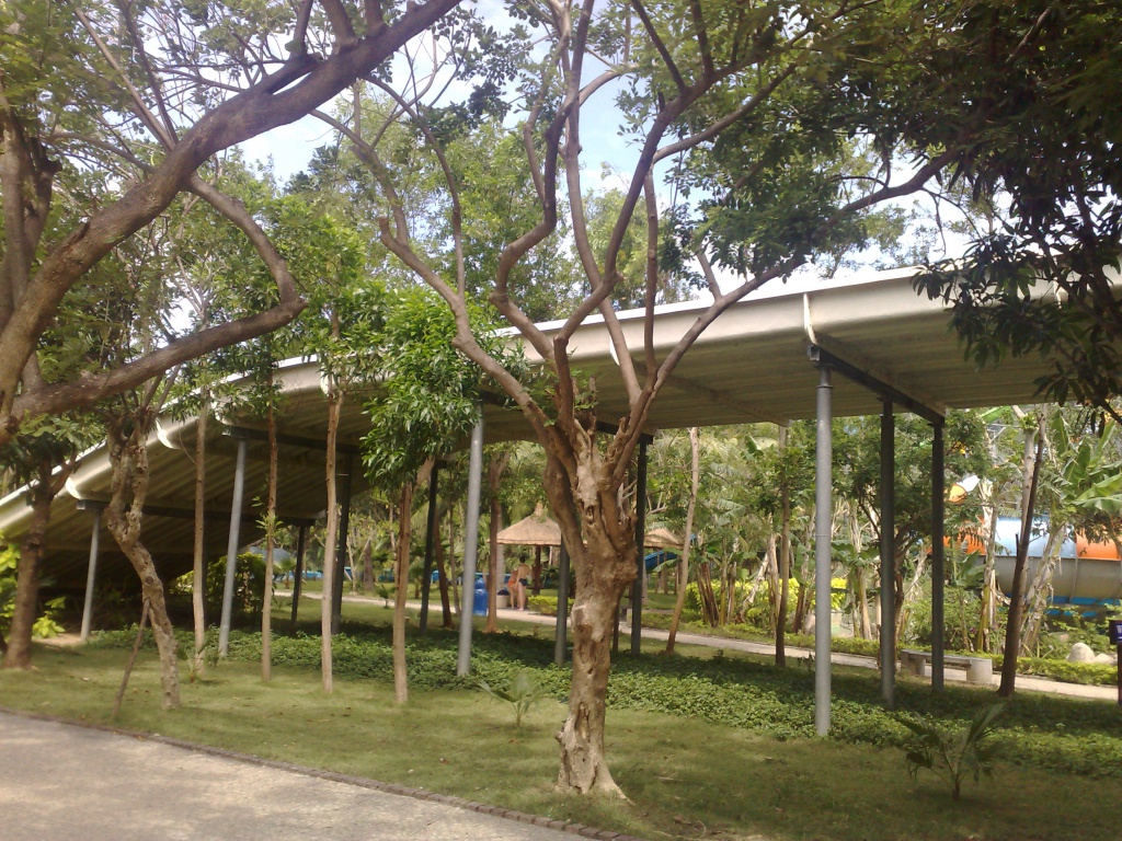 110220123495.jpg