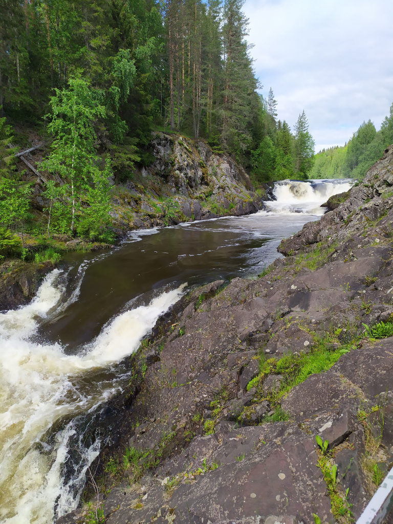 IMG_20220621_061Кивач.jpg