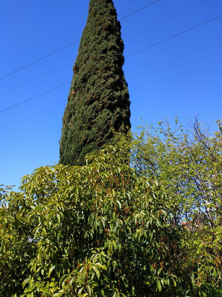 IMG_20220416_100957.jpg