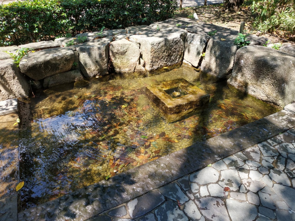 IMG-20180826-WA0043.jpg IMG-20180826-WA0043.jpg