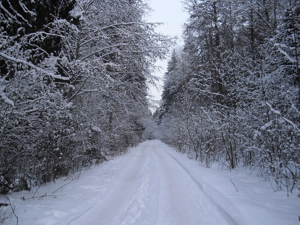 fonstola.ru-50432.jpg fonstola.ru-50432.jpg