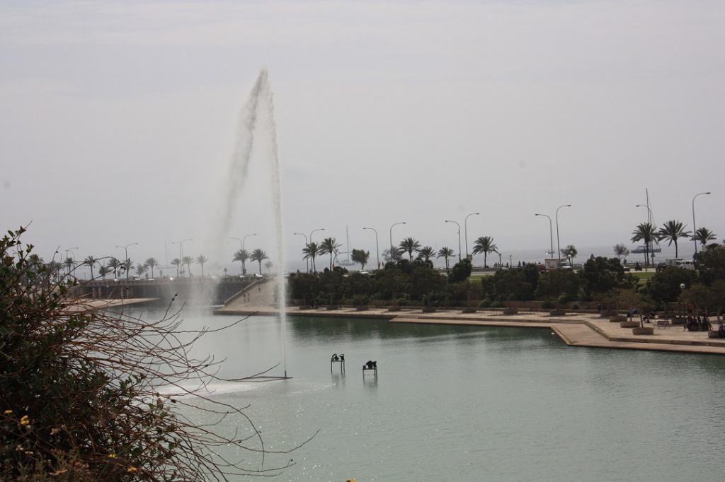 IMG_4655.JPG