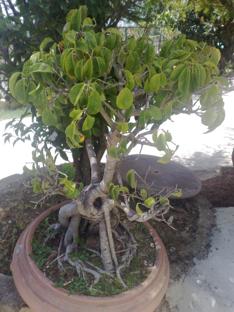 120220123641.jpg