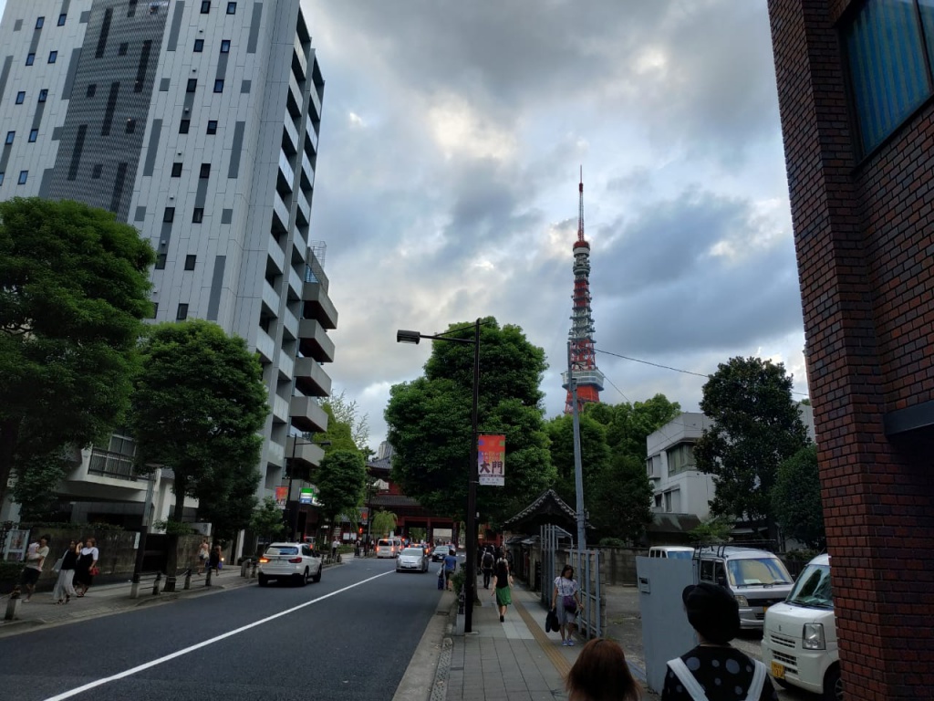IMG-20180823-WA0133.jpg IMG-20180823-WA0133.jpg